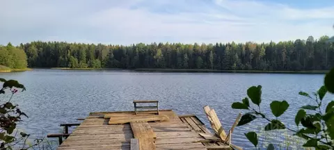 Дом в Тверская область, Андреапольский район, д. Заборовье  (97 м)