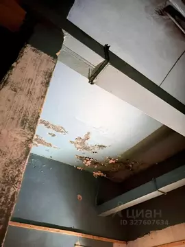 Помещение свободного назначения в Бурятия, Гусиноозерск Селенгинский ...