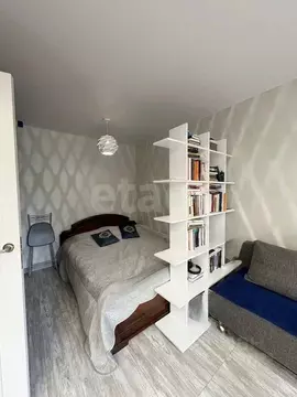 1-к кв. Санкт-Петербург, Санкт-Петербург, Пушкин Прямой пер., 3 (31.0 ...