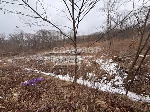 Участок в Приморский край, Фокино пл. ДОФ (20.0 сот.)