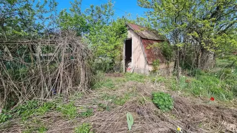 Участок в Брянская область, Брянский район, Снежское с/пос, с. ...
