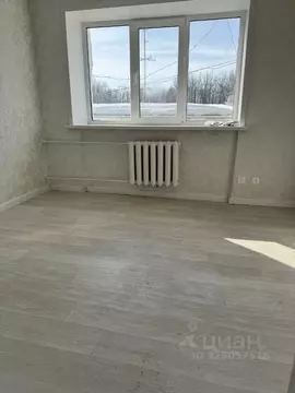 1-к кв. Мордовия, Саранск Лесная ул., 2А (19.0 м)