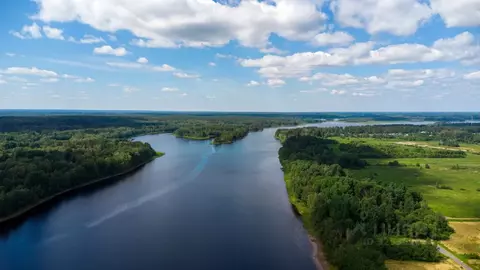 Участок в Ленинградская область, Приозерский район, Ромашкинское ...