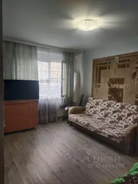 Квартира, 1 комната, 31 м