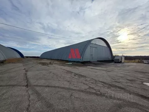 Склад в Ярославская область, Ярославский муниципальный округ, д. ...