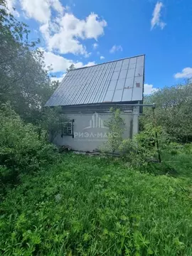 Дом в Брянская область, Брянский район, Снежское с/пос, с. Толмачево, ...