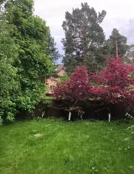 Продается участок в пгт Малаховка