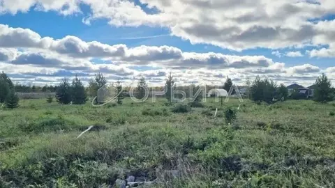 Участок в Тюменская область, Тюменский муниципальный округ, Соловьиная ...