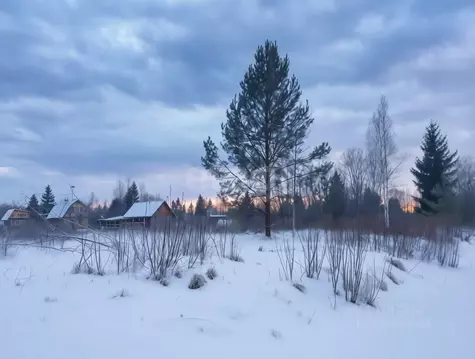 Участок в Ленинградская область, Киришский район, Кусинское с/пос, ...