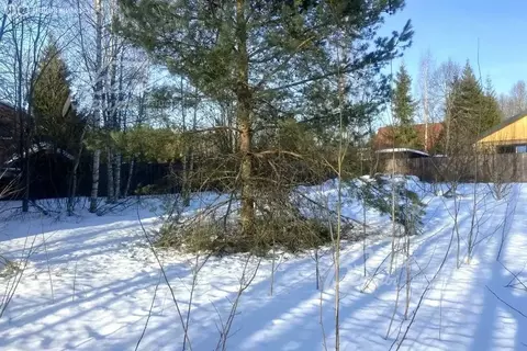 Участок в деревня Новоглаголево, 9-й Центральный проезд (12 м)
