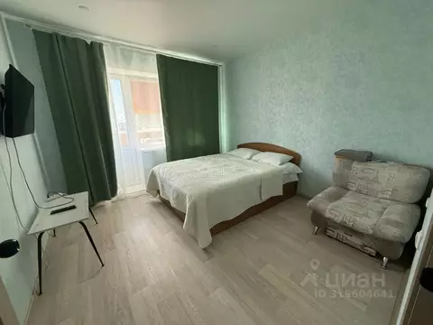 1-к кв. Еврейская автономная область, Биробиджан ул. Шалаева, 1 (42.0 ...