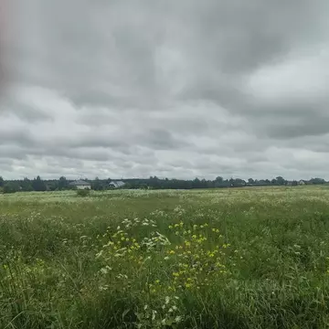 Участок в Ленинградская область, Гатчинский муниципальный округ, д. ...