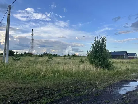 Участок в Воронежская область, Рамонский район, Березовское с/пос, д. ...