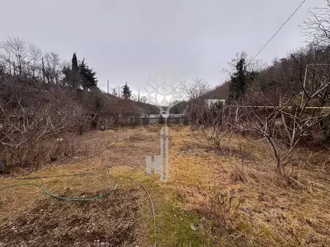 Участок в Крым, Алушта муниципальный округ, с. Малый Маяк ул. ...