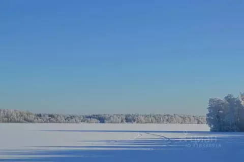 Участок в Ленинградская область, Выборгский район, Полянское с/пос, ...