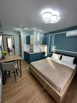 1-к кв. Самарская область, Самара ул. Петра Алабина, 4 (20.0 м)