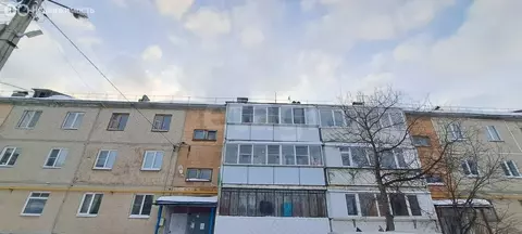 3-комнатная квартира: село Хомутинино, Уральская улица, 6 (58.3 м)