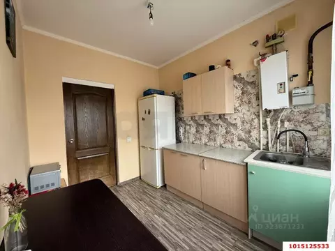 1-к кв. Краснодарский край, Краснодар Центральный мкр, ул. Братьев ...