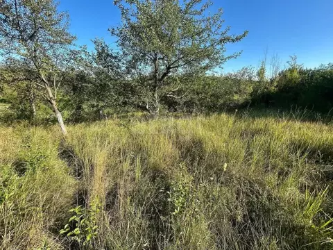 Участок в Белгородская область, Белгородский район, пос. Майский ...