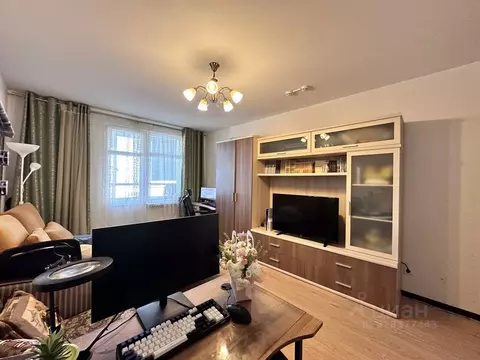 Студия Санкт-Петербург просп. Энергетиков, 9К1 (25.0 м)