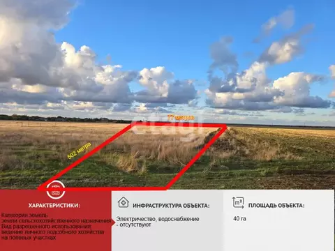 Участок в Крым, Сакский район, с. Крайнее  (400.0 сот.)