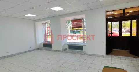 Офис в Пензенская область, Пенза ул. Суворова, 133 (77 м)