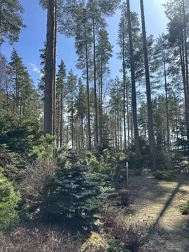 Участок в Ленинградская область, Выборгский район, Полянское с/пос, ...