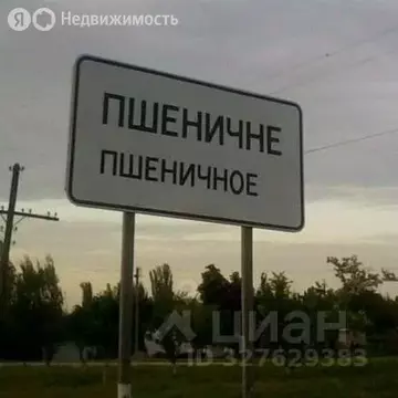 Участок в Нижнегорский район, село Пшеничное (19 м)