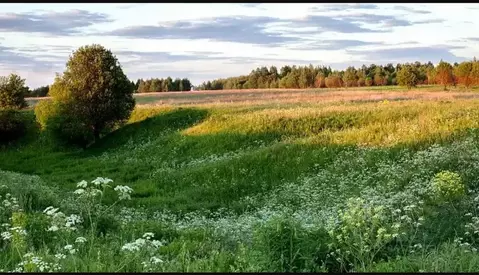 Участок в Пермский край, Верещагинский муниципальный округ, д. ...
