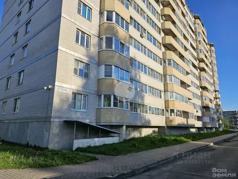 Студия Ленинградская область, Отрадное Кировский район, ул. Дружбы, 3 ...