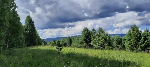 Участок в Алтай, Турочакский район, с. Турочак  (222.0 сот.)