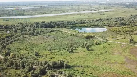 Участок в Алтайский край, Первомайский район, с. Фирсово  (10.0 сот.)