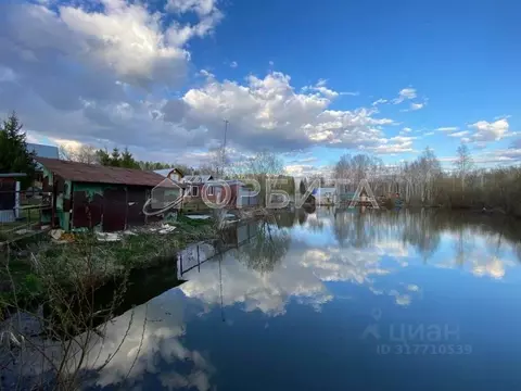 Дом в Тюменская область, Тюменский район, Винзили рп  (117 м)