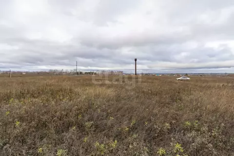 Участок в Татарстан, Тукаевский район, Калмиинское с/пос, Ясная Поляна ...