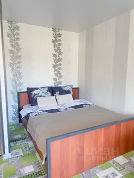 1-к кв. Камчатский край, Петропавловск-Камчатский просп. 50 лет ...