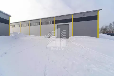 Склад в Московская область, Домодедово городской округ, д. Шахово 1Ф ...