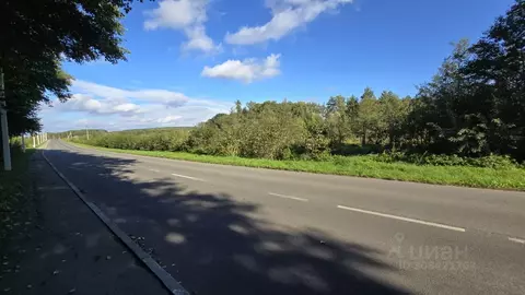 Участок в Калининградская область, Ладушкин  (8.0 сот.)