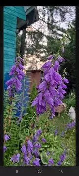 Дом в Ярославская область, Ярославский муниципальный округ, Лесное ...