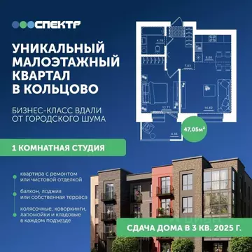 Студия Новосибирская область, Кольцово рп, Спектр мкр 11 (47.05 м)