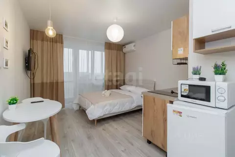 Студия Тюменская область, Тюмень ул. Валентины Трофимовой, 12 (29.0 м)