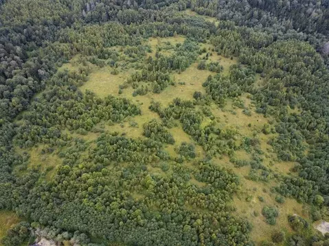 Участок в Московская область, Волоколамский муниципальный округ, д. ...