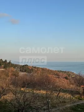 Студия Крым, Ялта муниципальный округ, Парковое пгт ул. Центральная, ...