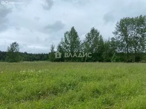 Участок в деревня Пустошка, 7 (11 м)