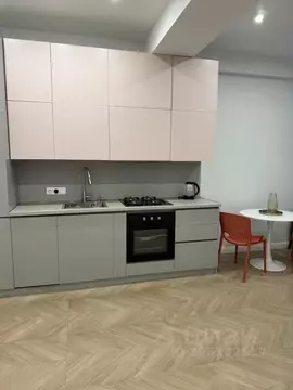 1-к кв. Краснодарский край, Сочи Виноградная ул., 2б (35.0 м)