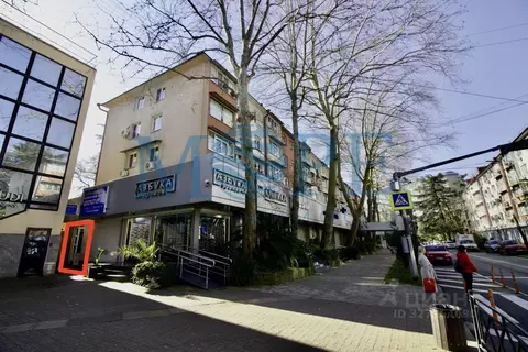 Помещение свободного назначения в Краснодарский край, Сочи Центральный ...