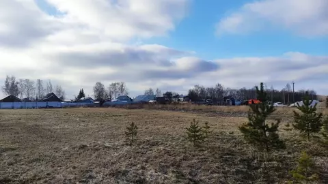 Участок в Владимирская область, Суздальский район, Селецкое ...