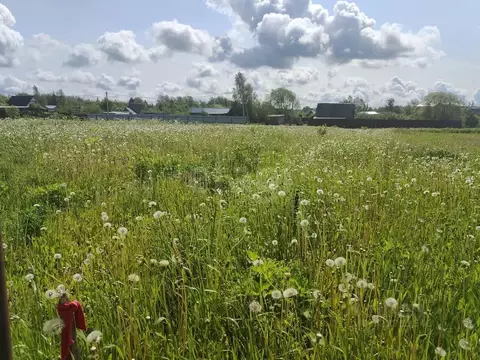 Участок в Ленинградская область, Волосовский район, д. Бегуницы  (10.0 ...