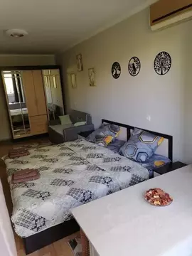 1-к кв. Ставропольский край, Пятигорск просп. Калинина, 20 (32.0 м)