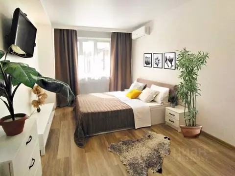 1-к кв. Ростовская область, Ростов-на-Дону Университетский пер., 137 ...