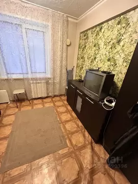 Студия Красноярский край, Красноярск ул. Сады, 4 (18.0 м)